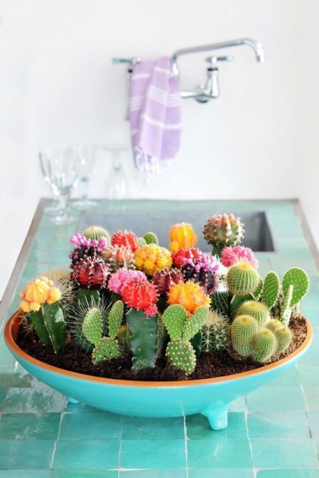 Small cactus to decorate the house – 22 creative DIY ideas
