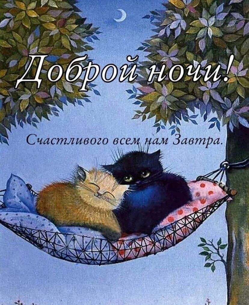 Открытки спокойной ночи с котами