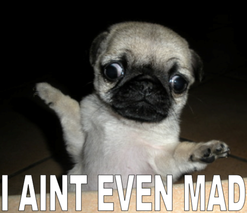 3 Ways to Choose a Pug forecast 3 Ways to Choose a Pug forecast