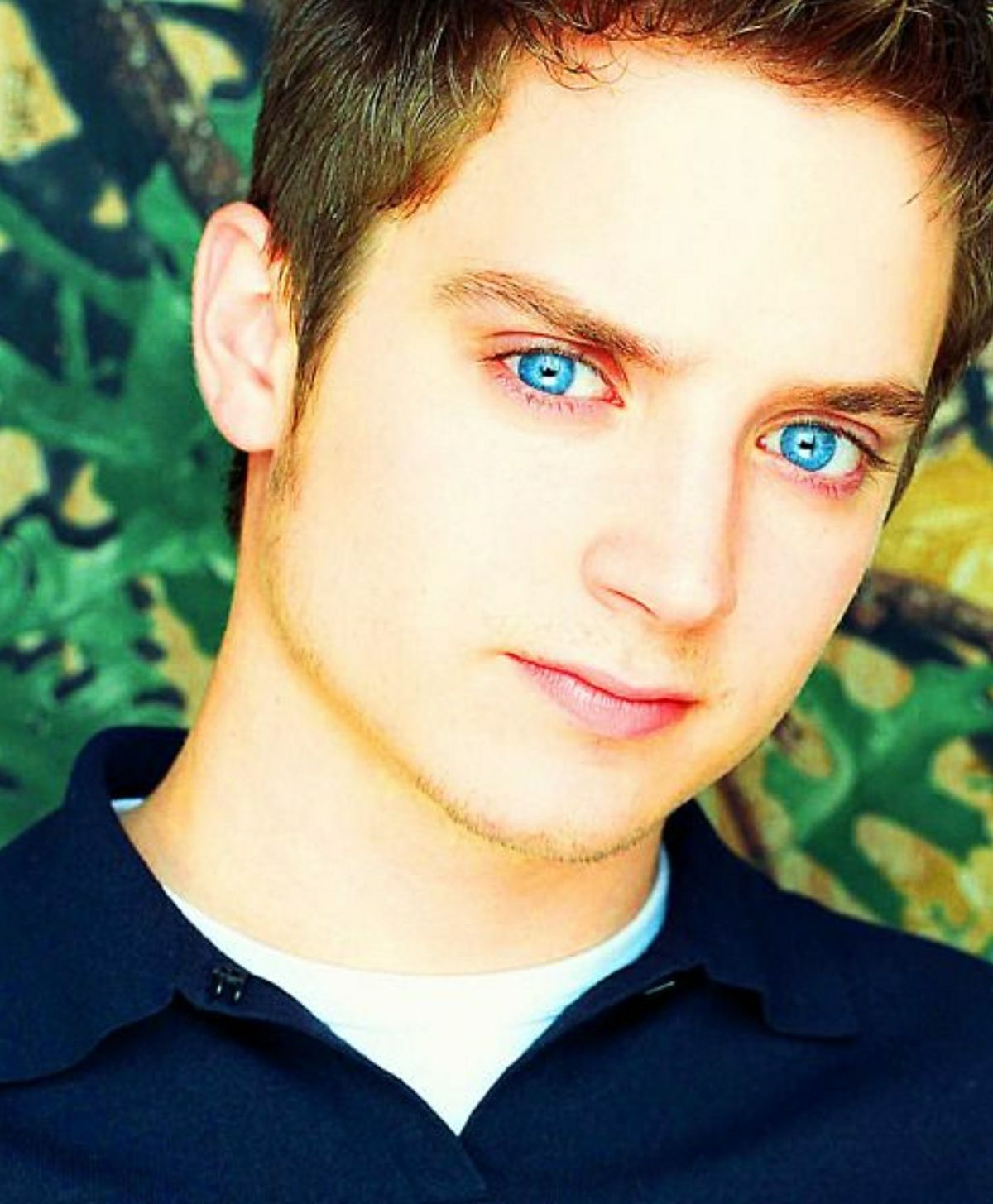actor producer dj elijah jordan wood b 28 jan 1981 cedar rapids actor producer dj elijah jordan wood b 28 jan 1981 cedar rapids
