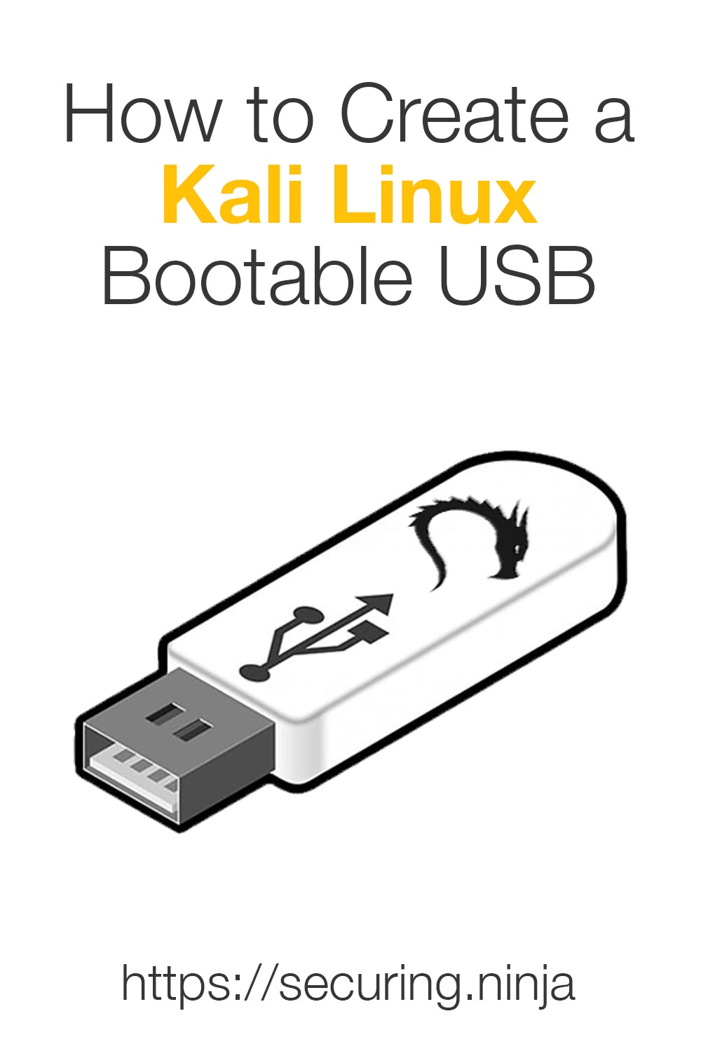 kali linux usb flash drive pny kali linux usb flash drive pny