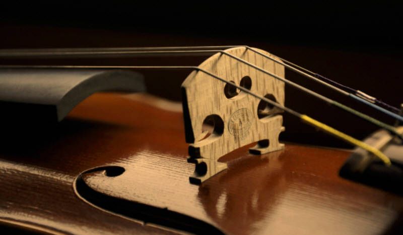 22 Ideas De Violin Música Y Laudería Revista Musical Peliculas Sobre Musica Revista Musical Violines