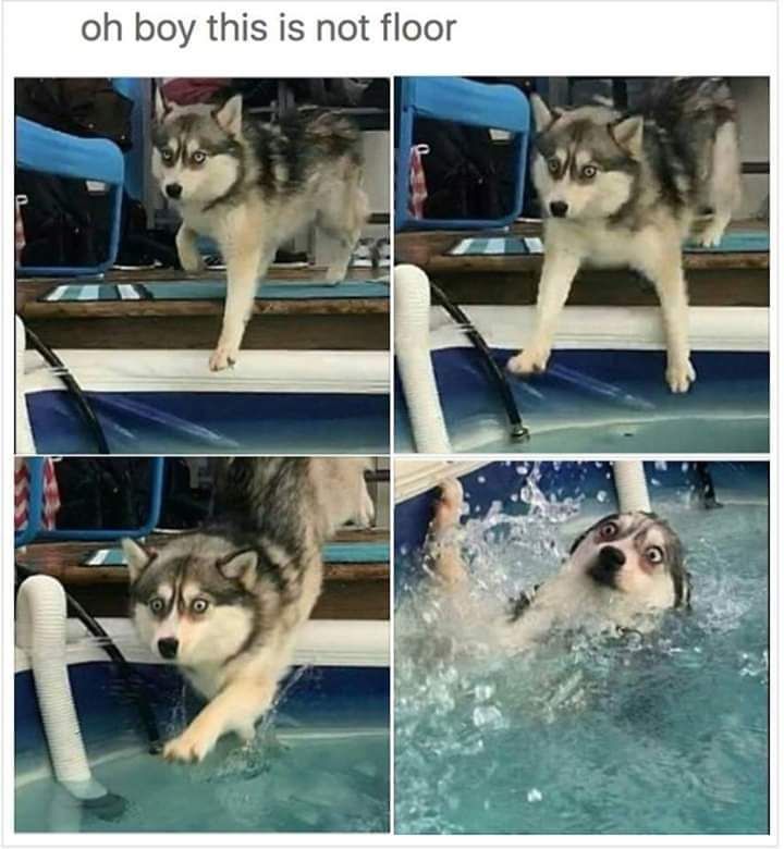 A Small But Powerful Dump Of 17 Funny Memes A Small But Powerful Dump Of 17 Funny Memes