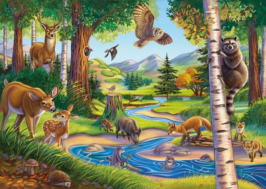 Forest Scenery Drawing Easy  Wildlife Drawing  Forest Drawing With Animals   Jungle Drawing  YouTube