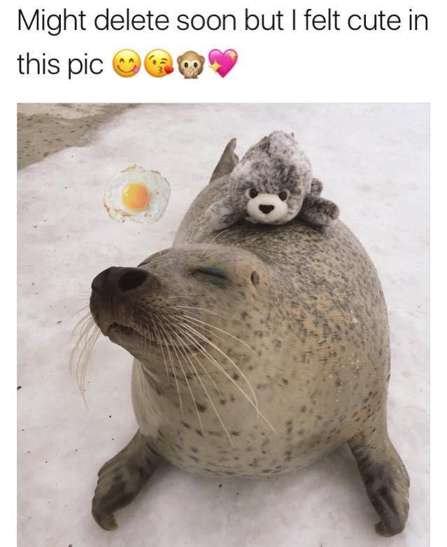 23 Feeling Cute, Might Delete Later Memes to Hype You Up 23 Feeling Cute, Might Delete Later Memes to Hype You Up