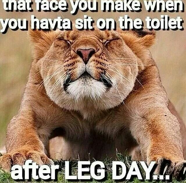 can anyone else relate?? Stop by the Strive 365 website for free weight loss tools: <a href=”http://www.strive-365.co” rel=”nofollow” target=”_blank”>www.strive-365.co</a>… <a class=”pintag” href=”/explore/WeightLoss/” title=”#WeightLoss explore Pinterest”>#WeightLoss</a> <a class=”pintag” href=”/explore/Fitness/” title=”#Fitness explore Pinterest”>#Fitness</a> <a class=”pintag” href=”/explore/HealthyLiving/” title=”#HealthyLiving explore Pinterest”>#HealthyLiving</a> <a class=”pintag” href=”/explore/Funny/” title=”#Funny explore Pinterest”>#Funny</a> <a class=”pintag” href=”/explore/Fitness/” title=”#Fitness explore Pinterest”>#Fitness</a> <a class=”pintag” href=”/explore/Humor/” title=”#Humor explore Pinterest”>#Humor</a><p><a href=”http://www.homeinteriordesign.org/2018/02/short-guide-to-interior-decoration.html”>Short guide to interior decoration</a></p>