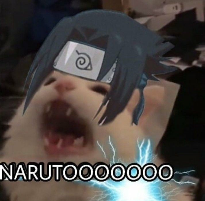 Metadinha gatinhos Naruto Cat icon, Cats, Cat memes