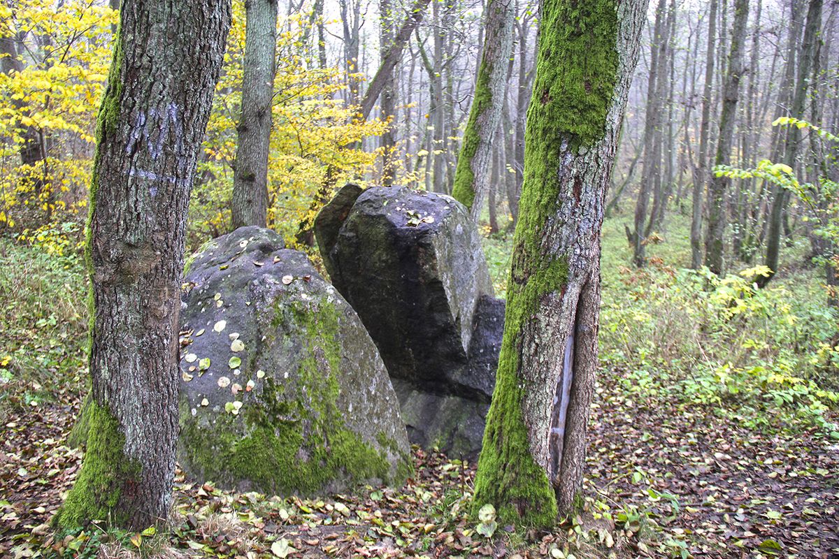 Камень Лжи (Калининградская область). Фото: Evgenia Shveda