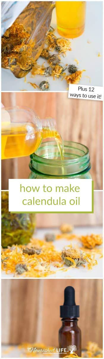 Did you know that calendula oil has many natural health benefits? Click here to learn how to make your own DIY homemade calendula oil! #calendula #diy #oils | livingthenourishedlife.com Did you know that calendula oil has many natural health benefits? Click here to learn how to make your own DIY homemade calendula oil! #calendula #diy #oils | livingthenourishedlife.com