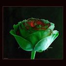 Romance Beethoven James Last Orchestra Beethoven Orchestra Classical Music