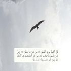 سورة الحشر قراءة ماهر المعيقلي Quran Arabic Calligraphy Calligraphy