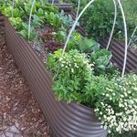 New Leaf Nursery Newleafnursery On Pinterest New Leaf Nursery 49 Pins