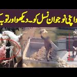 Attahiyat Full Tashahud Attahiyat Tashahhud Full Hd Text Namaz Youtube In 2021 Learn Quran Namaz Text