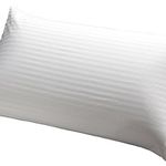 Division CareGuard Bed Pillow Division CareGuard Bed Pillow