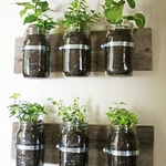 Guess who will be back at Hicks Hicks Nurseries, Inc Guess who will be back at Hicks Hicks Nurseries, Inc