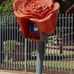 Saga Clara (sagaclara) på Pinterest Saga Clara (sagaclara) på Pinterest