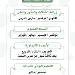 Pin By Mona Ahmed On نباتات Fruit Plants Garden Care Useful Life Hacks