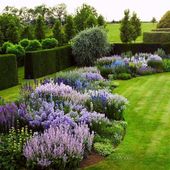 Pinterest: whywhyn0t #shadeperennials Pinterest: whywhyn0t The post Pinterest: w...