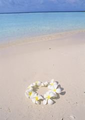 Hawaii のアイデア 16 件 ハワイイラスト 花 イラスト ハイビスカス Hawaii のアイデア 16 件 ハワイイラスト 花 イラスト ハイビスカス