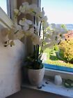 Künstliche Orchidee im Topf Kunst Orchideen Pflanze Blumen #Dekorationen - or...