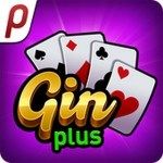 TÉLÉCHARGER GIN RUMMY PRO GRATUITEMENT GRATUITEMENT RUMMY TÉLÉCHARGER GIN PRO