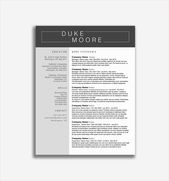 Standard Cv format Example Doc