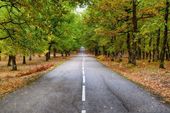 frases de viajes: las 20 citas viajeras más inspiradoras
