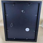 Taxidermy Real Fruit Bat Skeleton Rousettus Leschenaulti Framed Shadowbox Display Collectible Taxidermy Real Fruit Bat Skeleton Rousettus Leschenaulti Framed Shadowbox Display Collectible