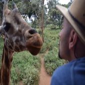 عبد الباسط حمودة اديني قلبك وخد قلبي Giraffe Animals