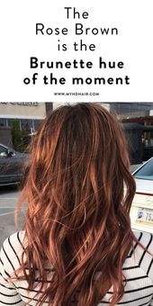 Die Rose Brown ist die brünette Farbe des Augenblicks