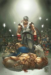 007 Street Fighter V 5 Fighting Video Game 38/"x24/" Poster