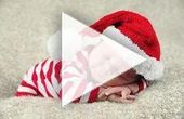 #LastMinuteStylist #happy ✌🏼💡Christmas,To Sell,Easy,Design,Flowers,DIY,F...
