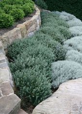 75 Awesome Front Yard Rock Garden Landscaping Ideas #gardenoutdoors Ruhiges Pfla...