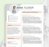 A Modern Professional Resume Template - CV Template - Resumes Templates
