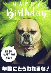 笑える誕生日メッセージ のアイデア 51 件 笑える誕生日メッセージ 誕生日 画像 おもしろ 面白い誕生日 笑える誕生日メッセージ のアイデア 51 件 笑える誕生日メッセージ 誕生日 画像 おもしろ 面白い誕生日