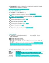 What Darwin Never Knew Video Worksheet Key Pin On Printable Worksheet