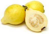 Dr Faten On Twitter Morninga4 Kxxlxxd Noonee580 Passion Fruit بالعربي أتوقع اسمها فاكهة العاطفة أو الآلام Https T Co Bcafajzywp