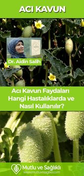 Aci Kavun Faydalari Nelerdir Hangi Hastaliklarda Ve Nasil Kullanilir Faydalari Kavun Kavun Bitter Melon Health Health And Wellness
