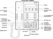 Avaya Phone Labels Word Template Avaya Phone Number Template Templates Resume Ex...