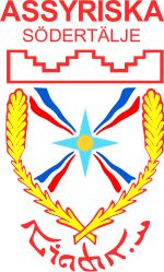 Assyriska Sweden Superettan Teams Soccer Sweden Soccer