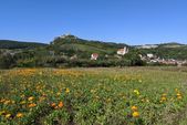 Ein Wochenende im Weinviertel: Wunderbares Ausflugsziel nördlich von Wien