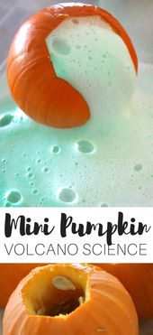 Mini Pumpkin Volcanos Fall Science Experiment
