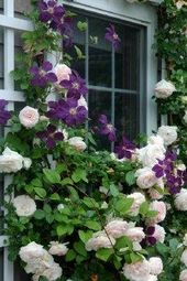 12+ Inconceivable Garden For Beginners Bee Hives Ideas - #