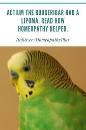 Actiums Lipoma & Homeopathy#Nails #NailArt #NailPolish #GelNails #GelPolish #Acr...