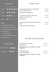 Bewerbungsvorlage Premium XL für viel Berufserfahrung: Download