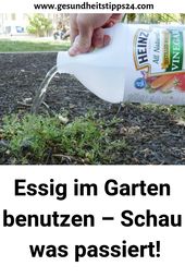 Essig im Garten benutzen – Schau was passiert! #Gemüsebeetanlegen #Nutzgarte...
