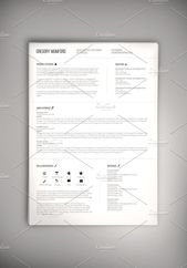 The Professional CV (PSD + WORD DOC) by Valeur Design on Creative Market