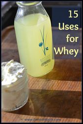 Recetas Con Suero De Leche