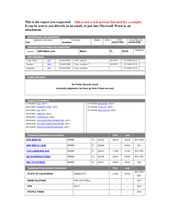 fake credit report template