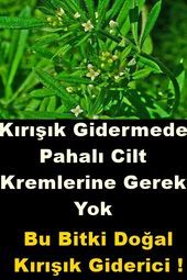 Faltenentfernung Joghurt Gras Und Vorteile Guzellik Sirlari Gras Falten Joghurt Faltenentfernung Joghurt Gras Und Vorteile Guzellik Sirlari Gras Falten Joghurt